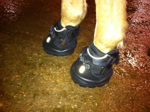 5. Get boot on horse. Somehow. At least you'll be able to find him in the dark!