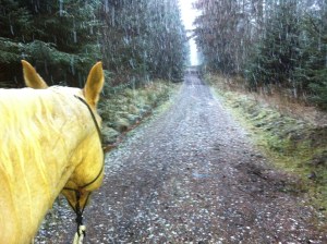 The Road Goes Ever On and On.....