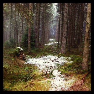 Sharp pointy stones, rocks, adders, and other things lurking in the undergrowth...