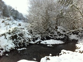 The watering hole in the snow