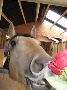 M, being bored, decided that sticking his nose into things that don't concern him is the best way forward.....