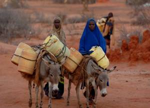 Donkeys carrying water (copyright with the Brooke)