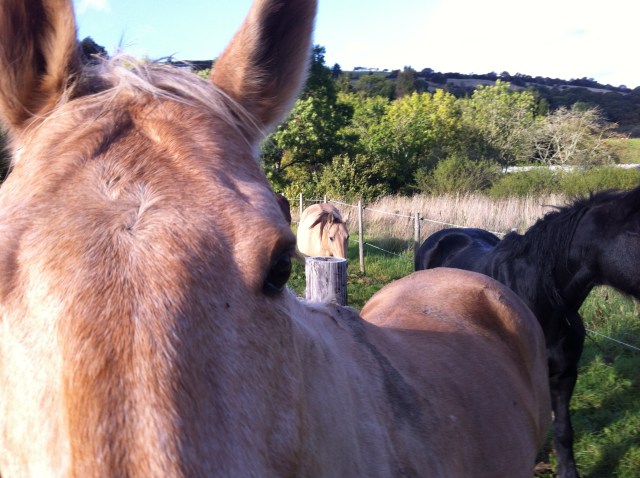 The QH is watching you. Be afraid.